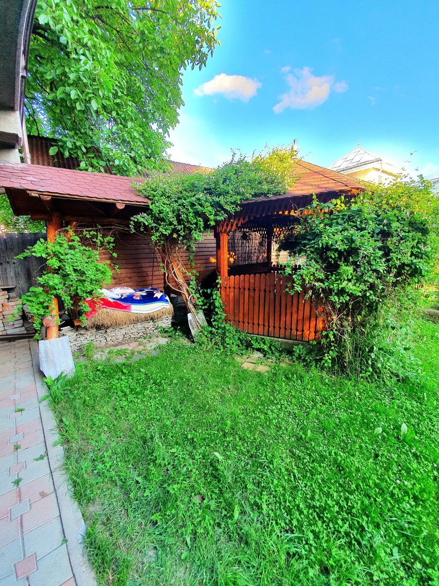 Casa Ionut Hotel Borşa Exterior foto